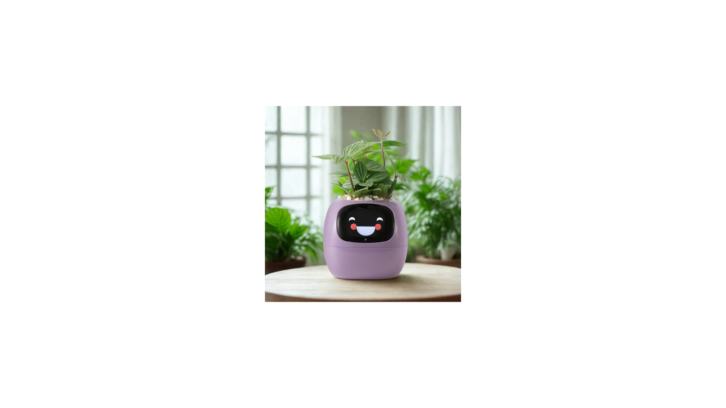 Video – Smart Life Planter – KI-betriebenes Pflanzenauto