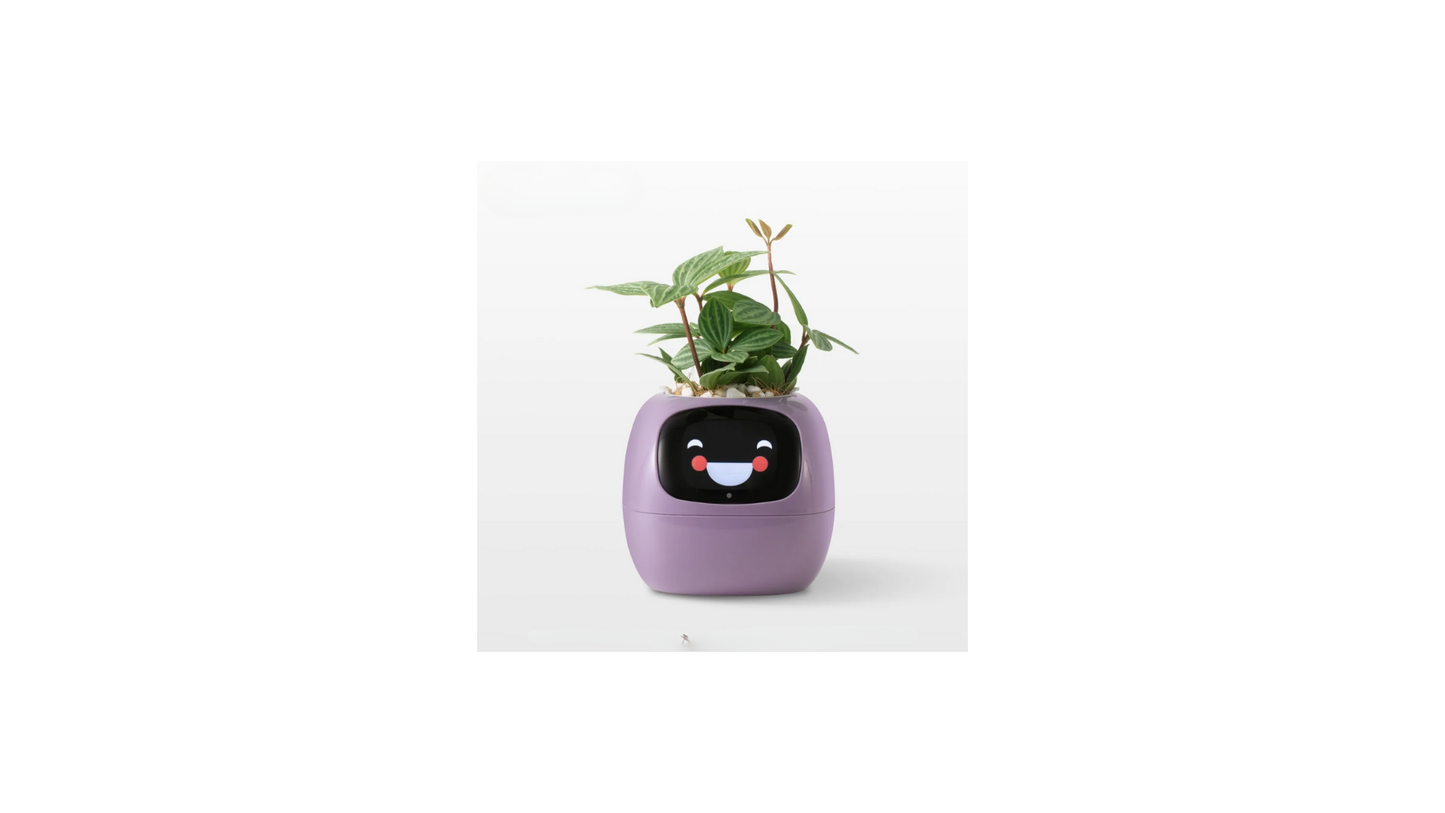 Video – Smart Life Planter – KI-betriebenes Pflanzenauto