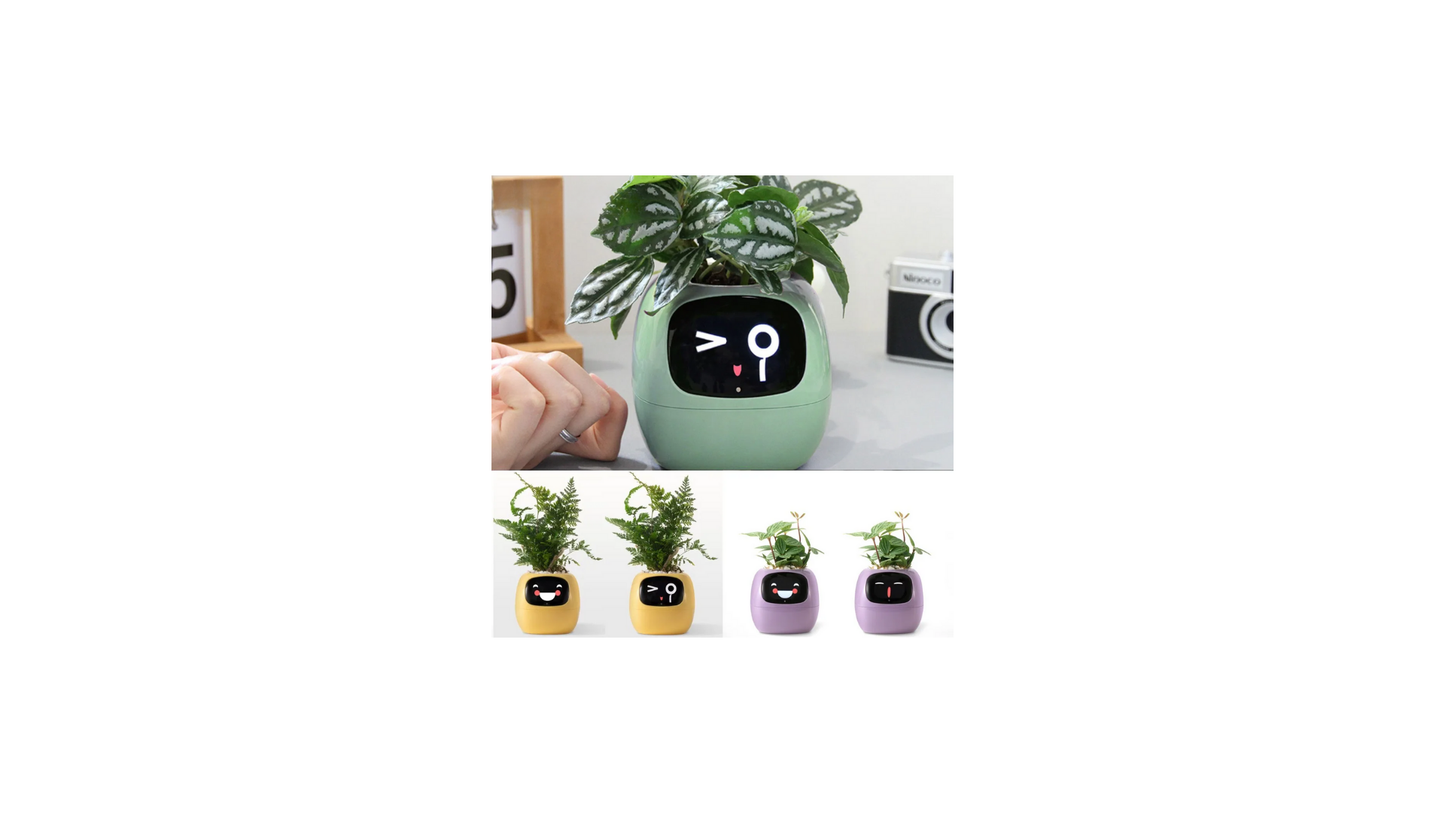 Video – Smart Life Planter – KI-betriebenes Pflanzenauto