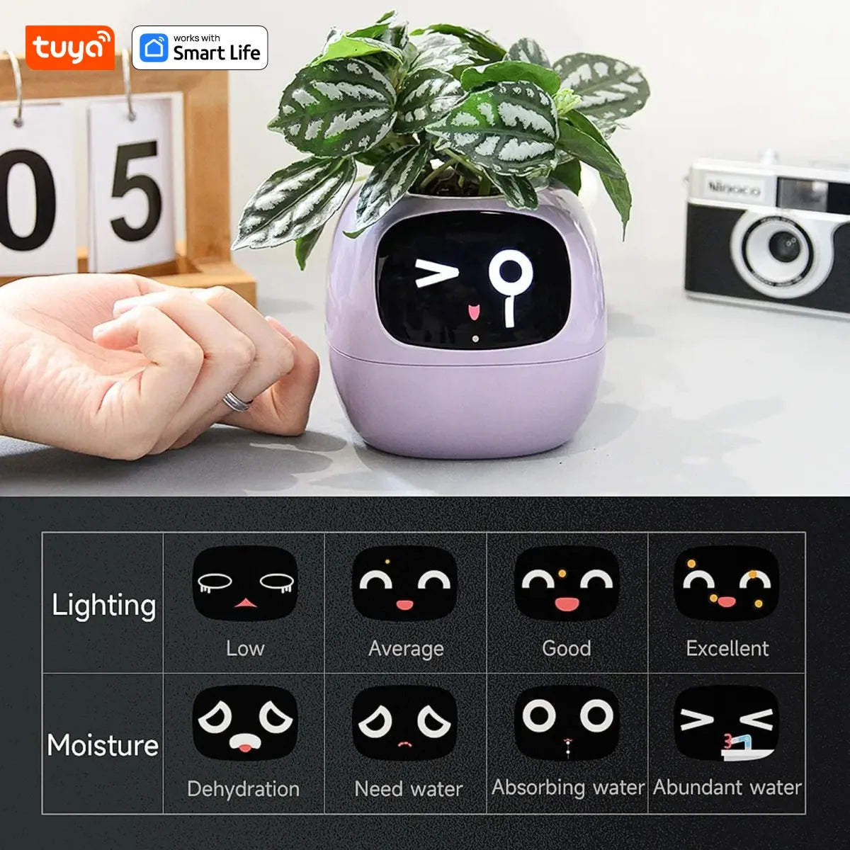 Video – Smart Life Planter – KI-betriebenes Pflanzenauto