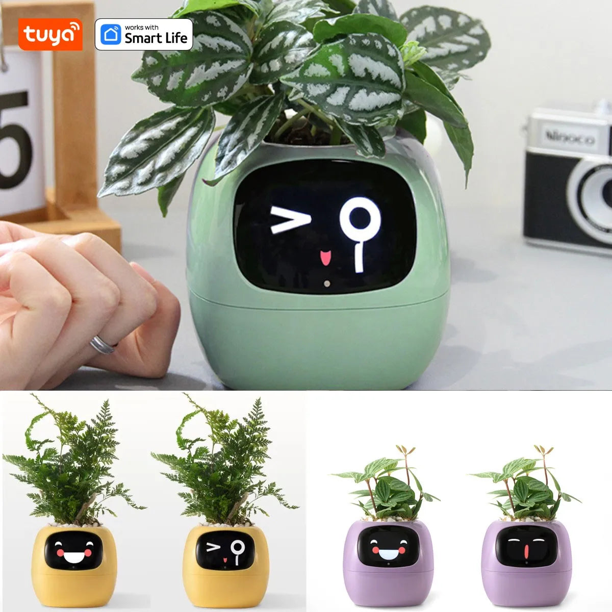 Video – Smart Life Planter – KI-betriebenes Pflanzenauto