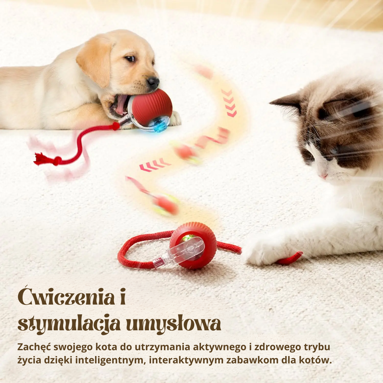 Interaktywna, ładowalna inteligentna zabawka dla zwierząt