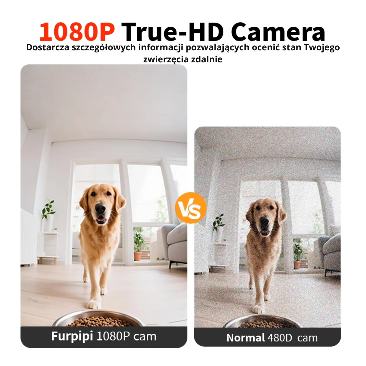 8 L Inteligentny Automatyczny Podajnik Karmy dla Kota z Kamerą 1080 p i WiFi