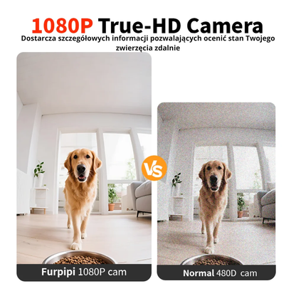 8 L Inteligentny Automatyczny Podajnik Karmy dla Kota z Kamerą 1080 p i WiFi