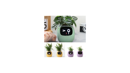 Video – Smart Life Planter – KI-betriebenes Pflanzenauto