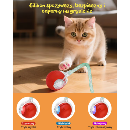 Interaktywna, ładowalna inteligentna zabawka dla zwierząt