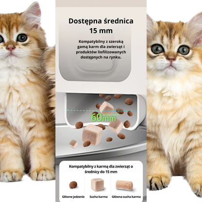 8 L Inteligentny Automatyczny Podajnik Karmy dla Kota z Kamerą 1080 p i WiFi