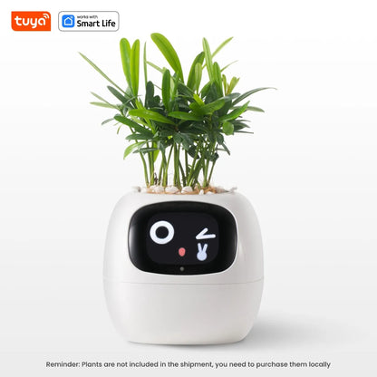 Tuya Ivy Smart Planter, 49 Rich Expressions,7 smart sensors, AI Chips