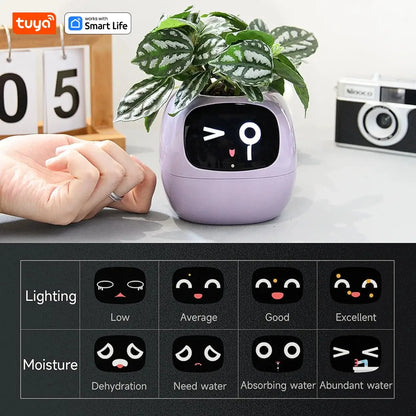 Video – Smart Life Planter – KI-betriebenes Pflanzenauto