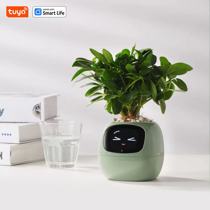 Video – Smart Life Planter – KI-betriebenes Pflanzenauto
