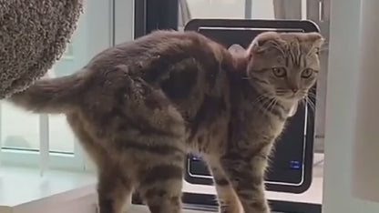 Video - Haustier-Fliegengittertür – Abschließbar, selbstschließend, für Hunde &amp; Katzen